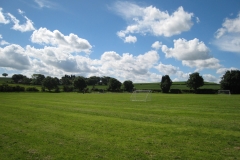 3 Playing Field & Thornes